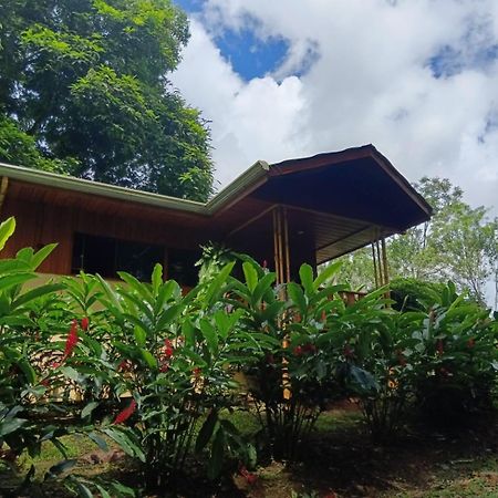 Gambas Lodge La Fortuna Exteriör bild