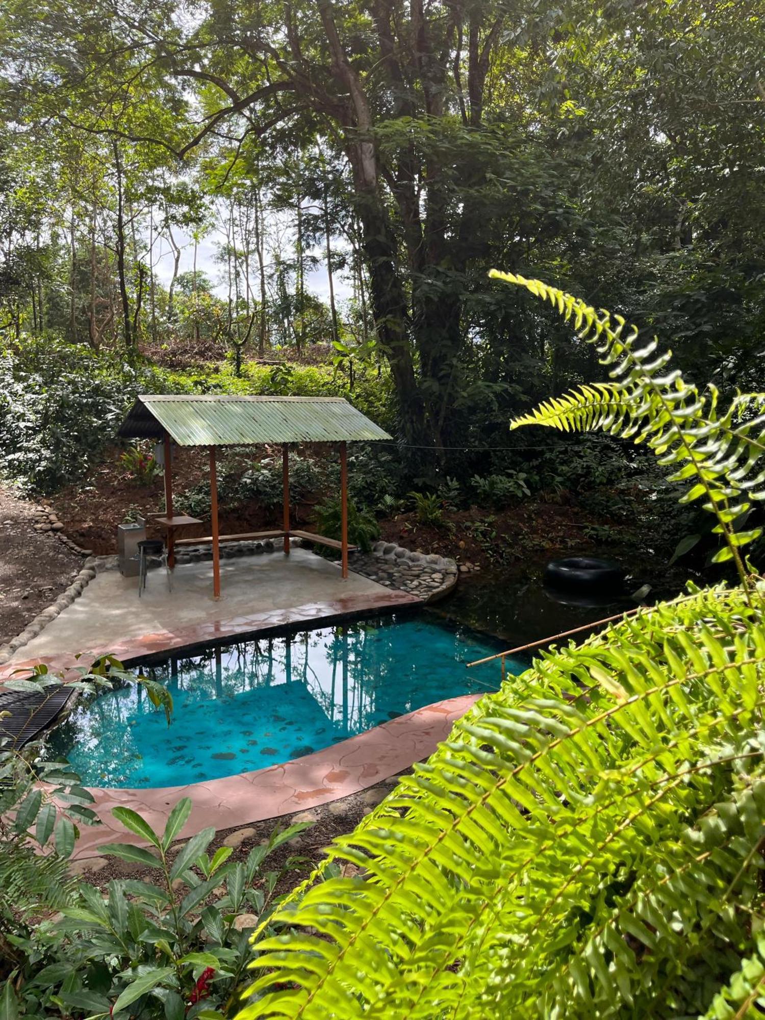 Gambas Lodge La Fortuna Exteriör bild