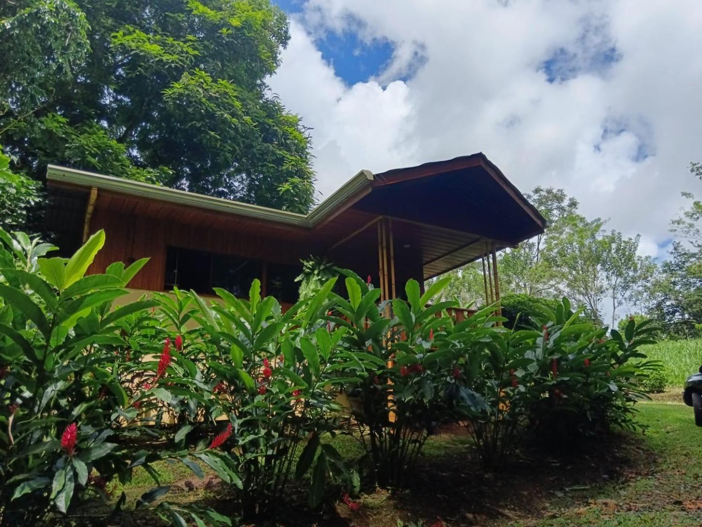 Gambas Lodge La Fortuna Exteriör bild